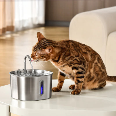 La Perle d'eau™ Fontaine pour Chat