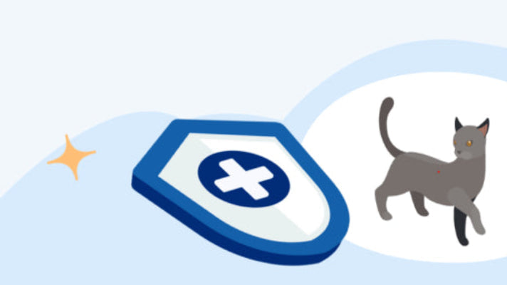 Protection Livraison 🐾