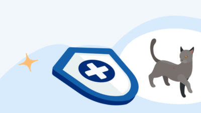 Protection Livraison 🐾