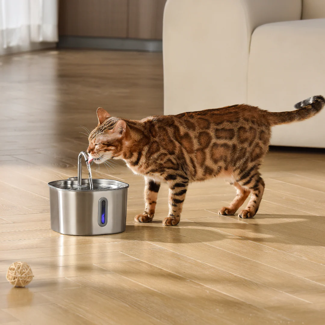 La Perle d'eau™ Fontaine pour Chat